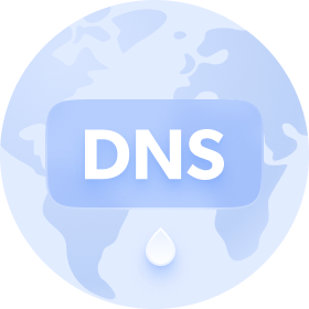 dns leak light